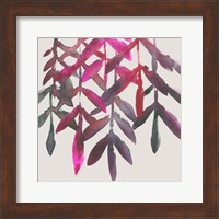 Framed Fuchsia Vine II