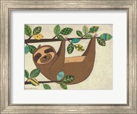 Framed Hanging Sloth