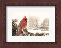 Framed Winter Perch