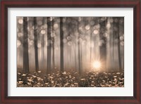 Framed Enchanted Morning