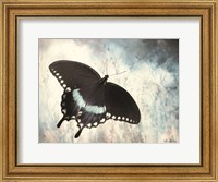 Framed Teal Butterfly I