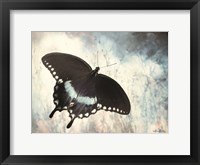 Framed Teal Butterfly I