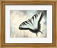 Framed Teal Butterfly II