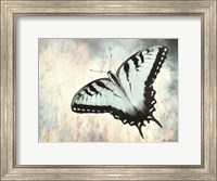 Framed Teal Butterfly II