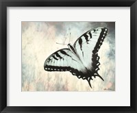 Teal Butterfly II Framed Print