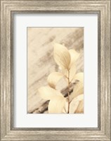 Framed Golden Leaves