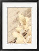 Framed Golden Leaves