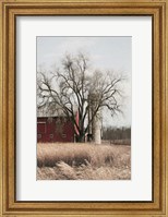 Framed Painted Silo