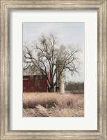 Framed Painted Silo