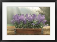 Framed Lavender Planter