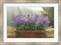 Framed Lavender Planter