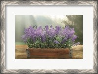 Framed Lavender Planter