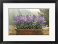 Framed Lavender Planter