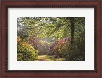 Framed Garden of Eden