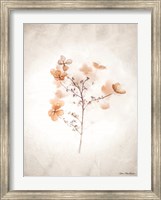 Framed Dried Flowers