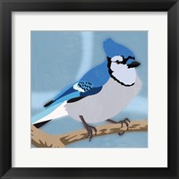 Framed Majestic Blue Jay