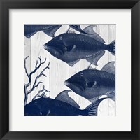 Framed Fishes 2