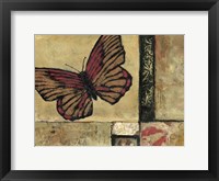 Butterfly in Border I Framed Print