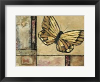Butterfly in Border II Framed Print