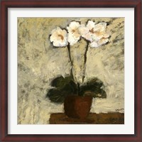 Framed Orchid Textures I