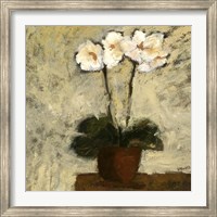 Framed Orchid Textures I
