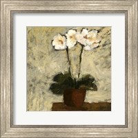 Framed Orchid Textures I