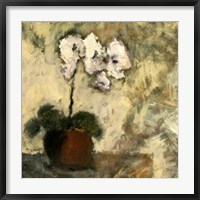Framed Orchid Textures II