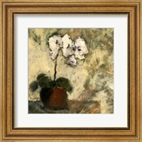 Framed Orchid Textures II