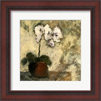Framed 'Orchid Textures II' border=