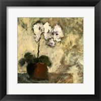 Framed 'Orchid Textures II' border=