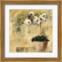 Framed Orchid Textures III