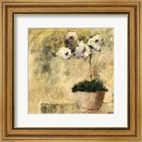 Framed Orchid Textures III