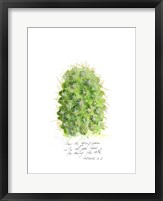 Framed Cactus Verse I