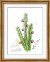 Framed Cactus Verse II