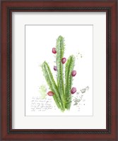 Framed Cactus Verse II
