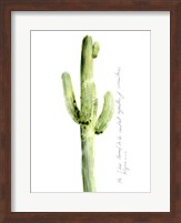 Framed Cactus Verse V