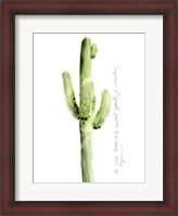 Framed Cactus Verse V