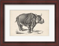 Framed Rhinoceros