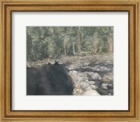 Framed Virginia Forest II
