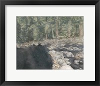 Framed Virginia Forest II