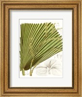 Framed Palm Melange I