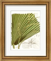 Framed Palm Melange I