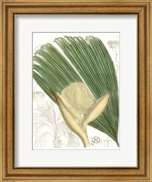 Framed Palm Melange II
