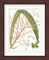 Framed Palm Melange VII