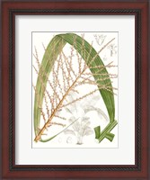 Framed Palm Melange VII