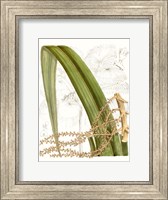 Framed Palm Melange VIII