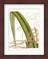 Framed Palm Melange VIII