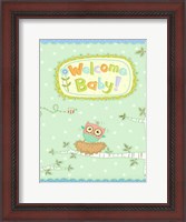 Framed Baby Owl I