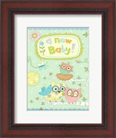 Framed Baby Owl II