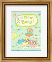 Framed Baby Owl II